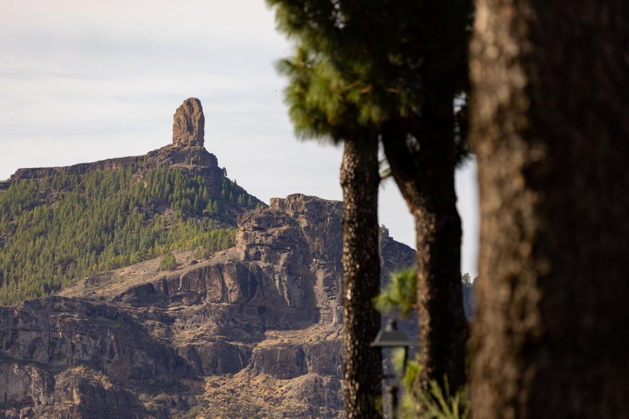 Апартаменти Casa Maria With Roque Nublo View Техеда Екстер'єр фото